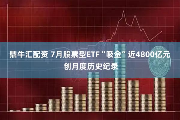 鼎牛汇配资 7月股票型ETF“吸金”近4800亿元 创月度历史纪录